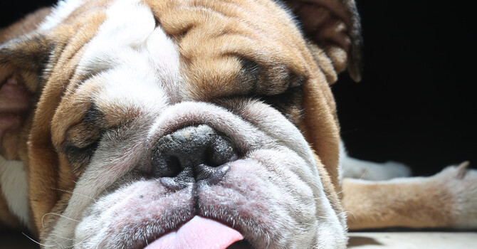 Don’t just sit there, stop being tired image