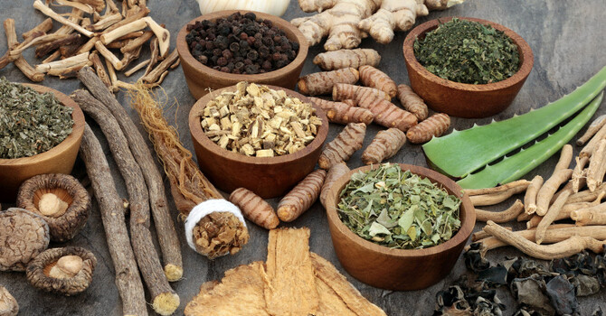 The popular herbs used in Traditional Chinese Medicine image