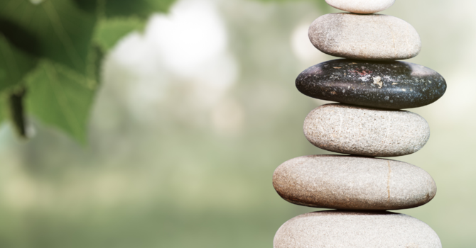 The Importance of Spinal Health for Overall Wellness image