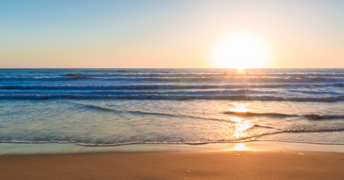 Insurance Verification