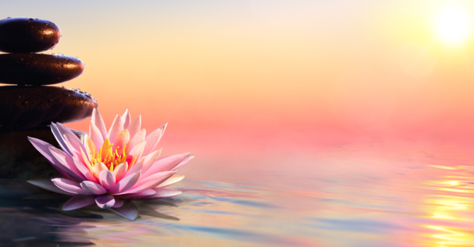 Insurance Verification