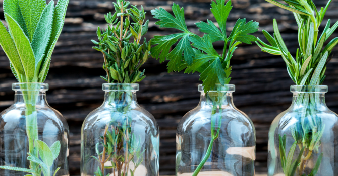 Steve Paine, OMD.L.Ac.