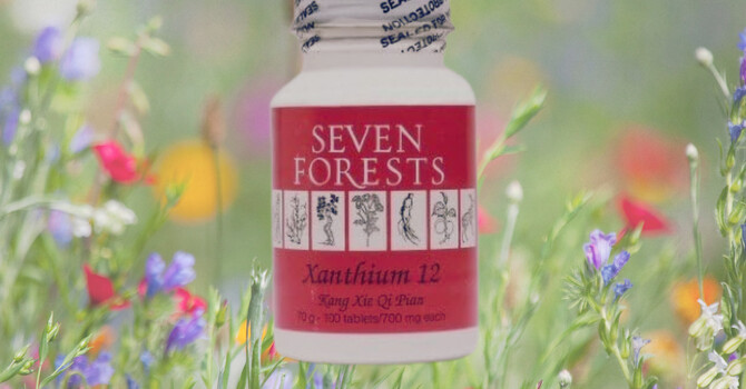 Breathing Easier with Seven Forests Xanthium 12 and Acupuncture image