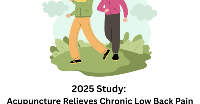 Acupuncture for Back Pain: Backed by 2025 Clinical Research image