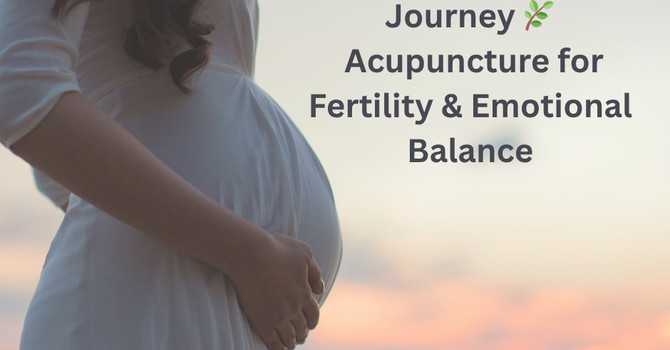Acupuncture in Fertility Care: Easing Stress & Improving Outcomes