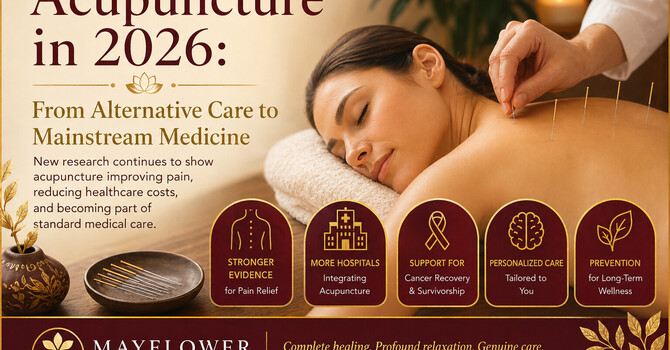 Acupuncture in 2026: From Alternative Care to Mainstream Medicine image